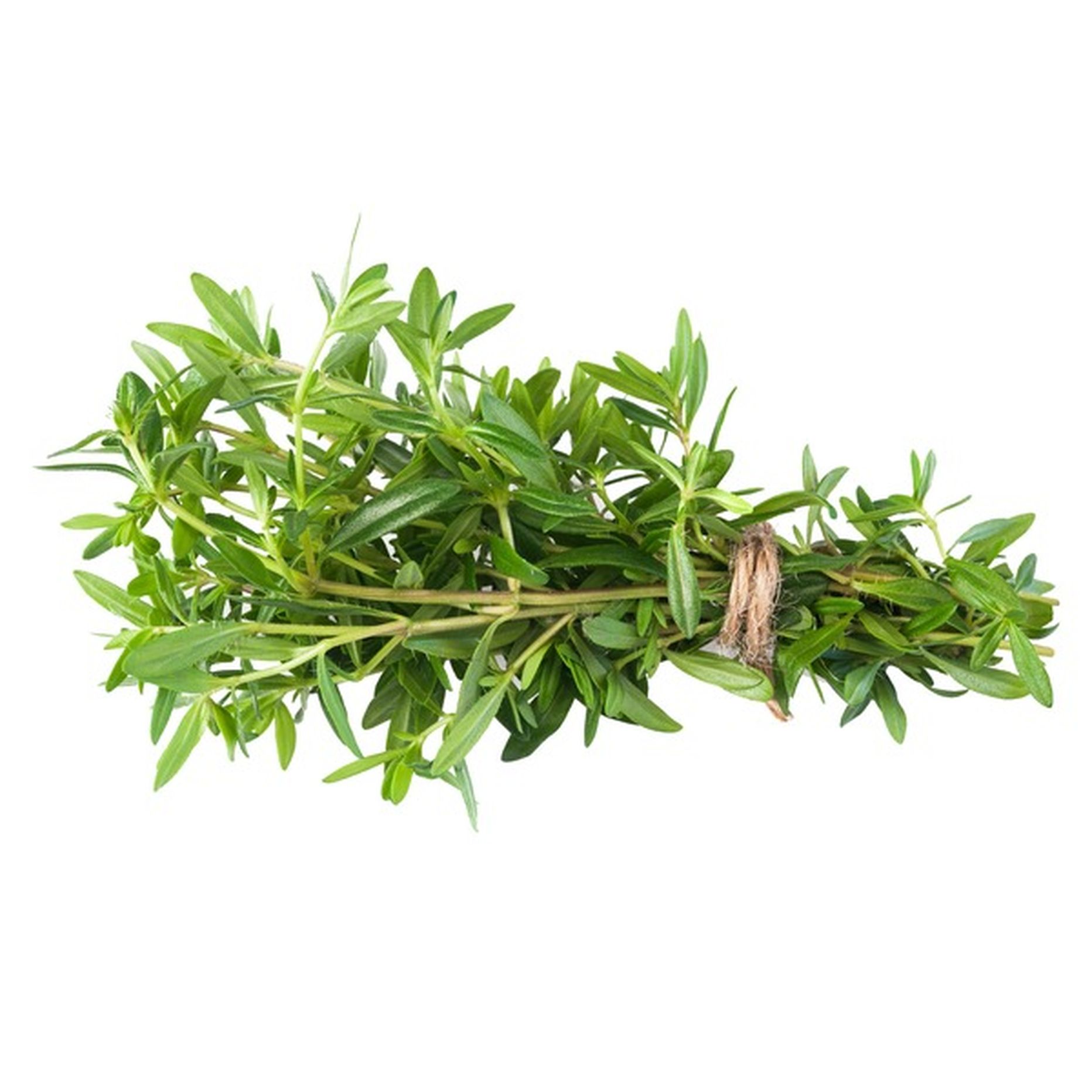 Marjoram / Mejorana .75 oz