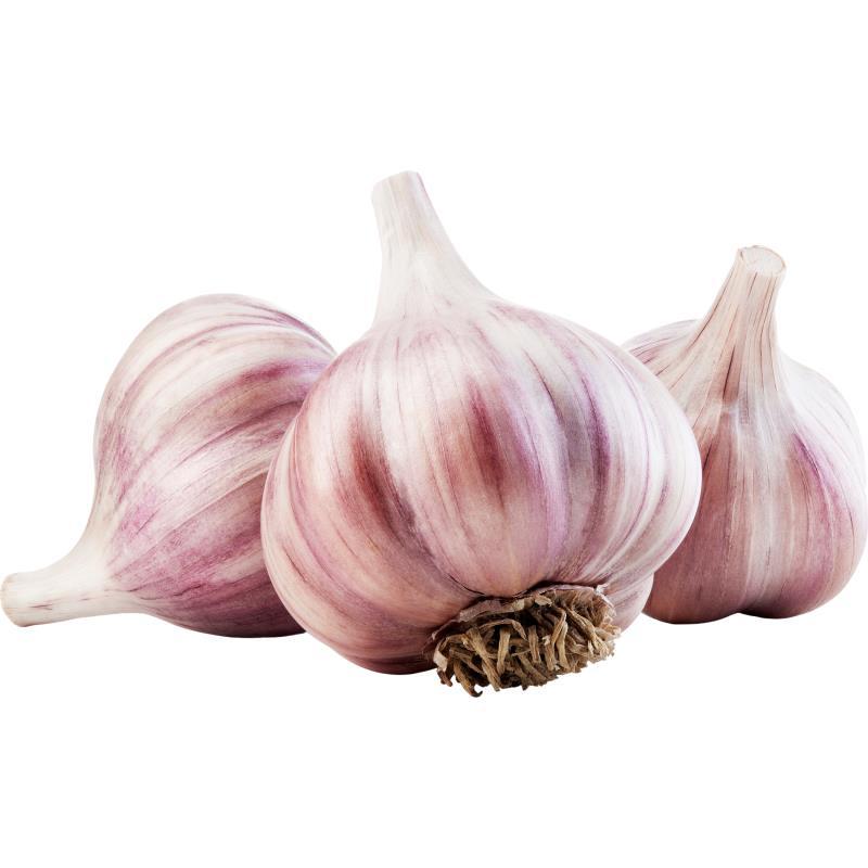 Ajo Morado de España 8 oz