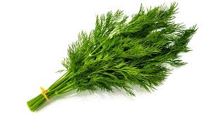 Fresh Dill / Eneldo Fresco .75 oz