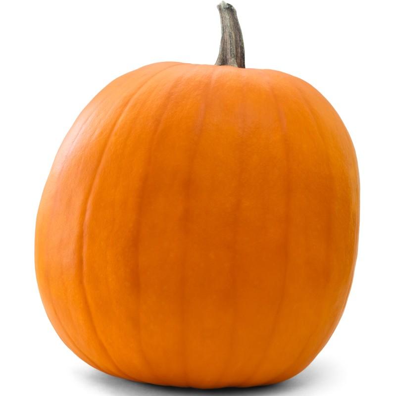 Halloween Pumpkin 1 ct