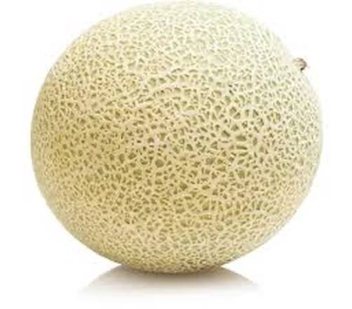 Cantaloupe Melon