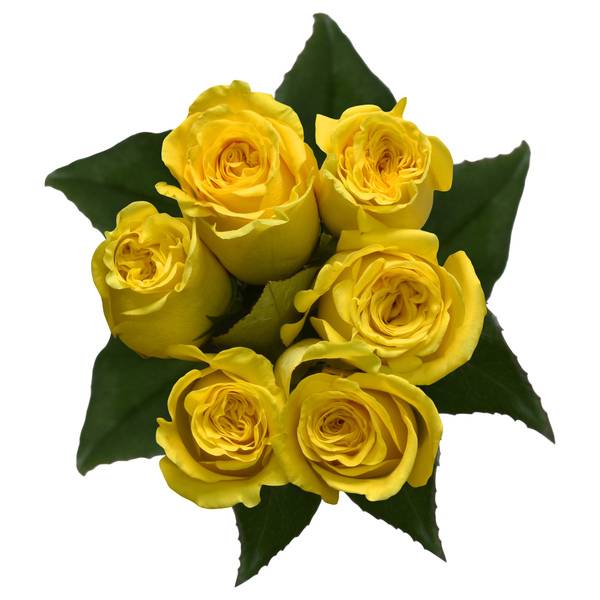 Bouquet Seis Rosas Amarillas