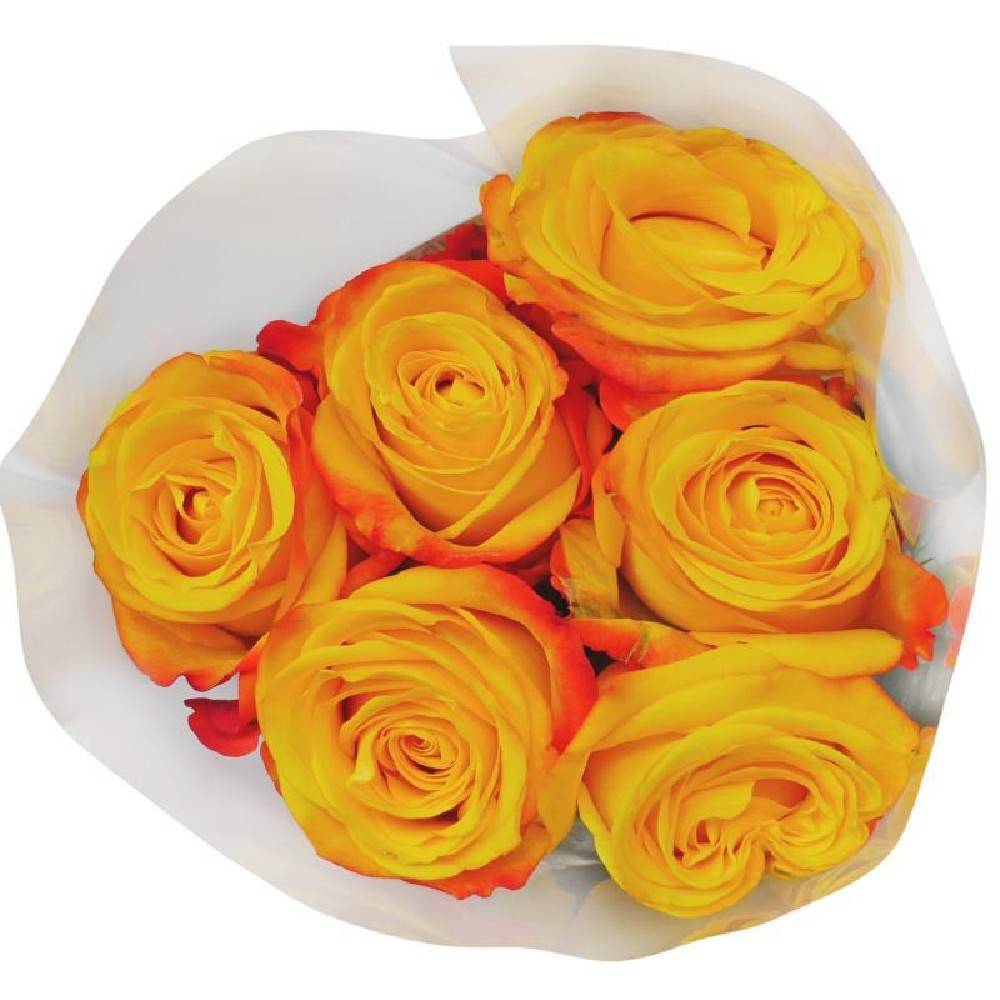 Bouquet 6 Rosas