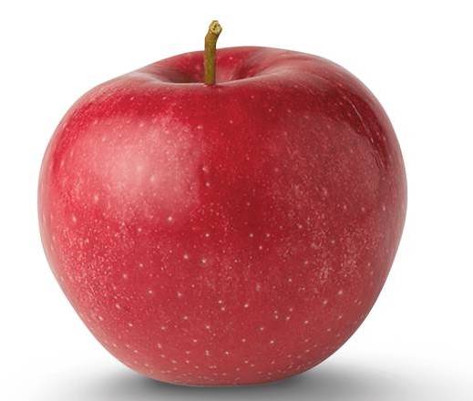 Rome Apple
