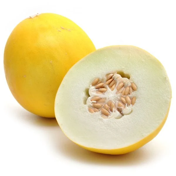Golden Honeydew Melon 