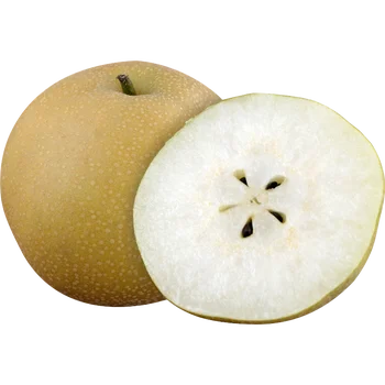 Asian Shingo Pears 3.5 lbs