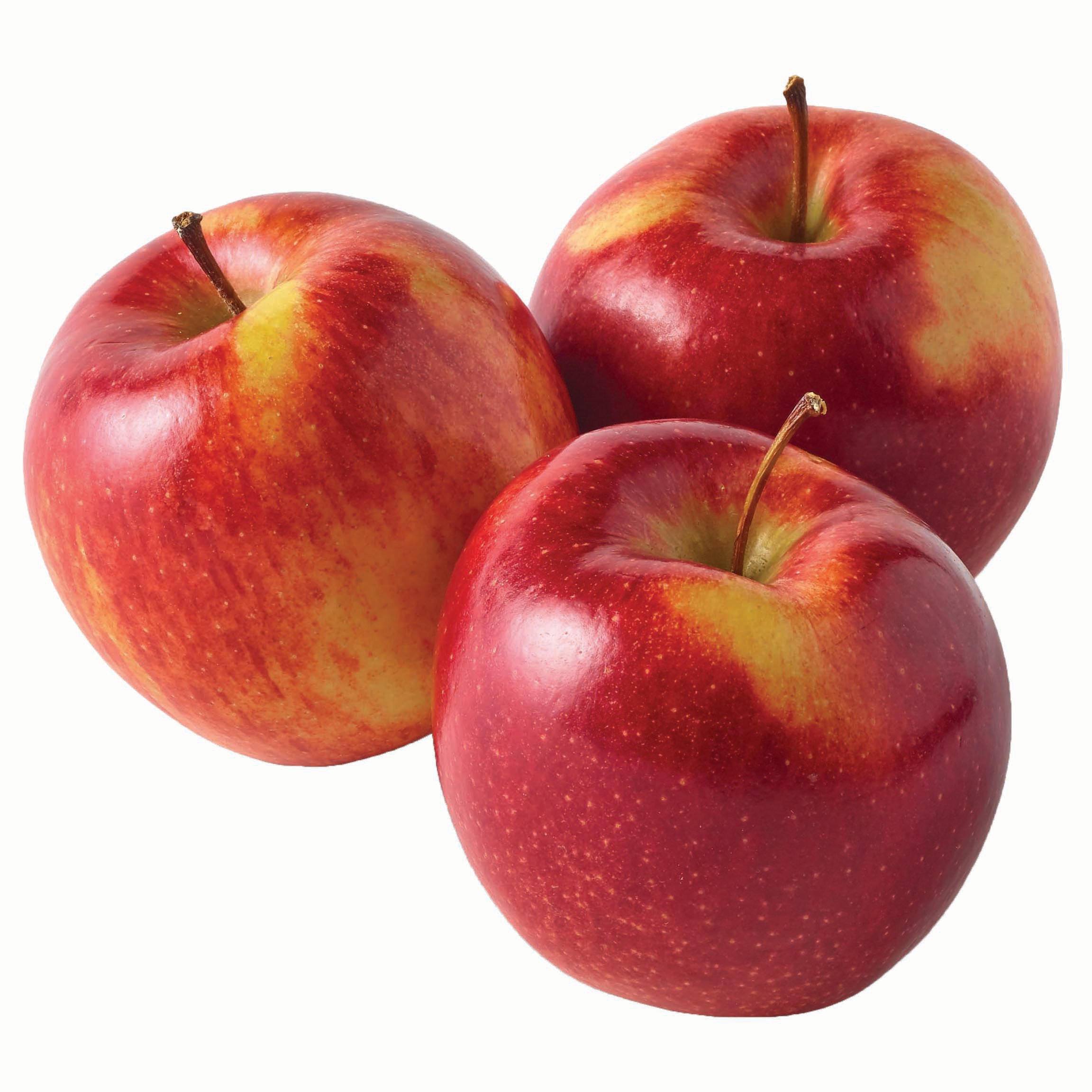 Envy Apples 4 lbs
