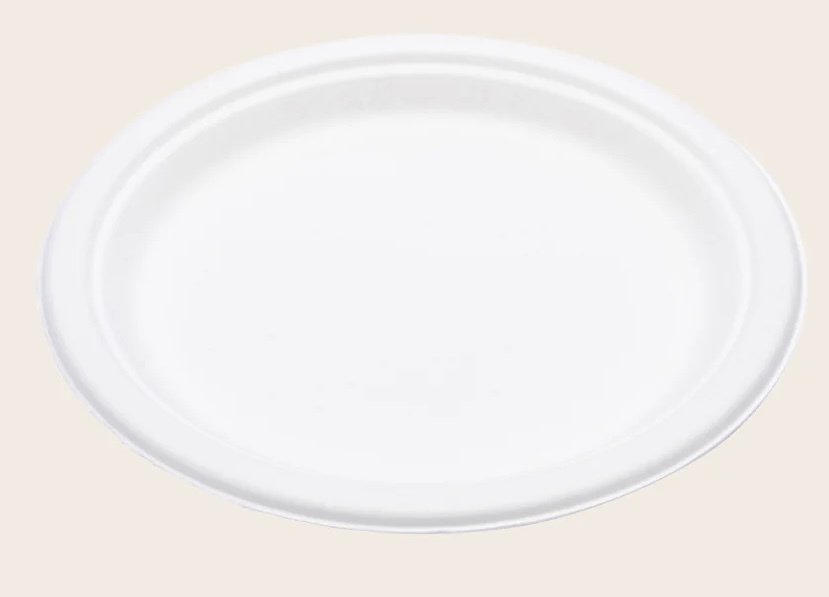 Repurpose Compostable 9” Bagasse Plates 165 ct